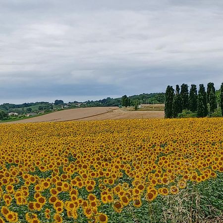 Saint-Antoine  Maison Du Bois מראה חיצוני תמונה